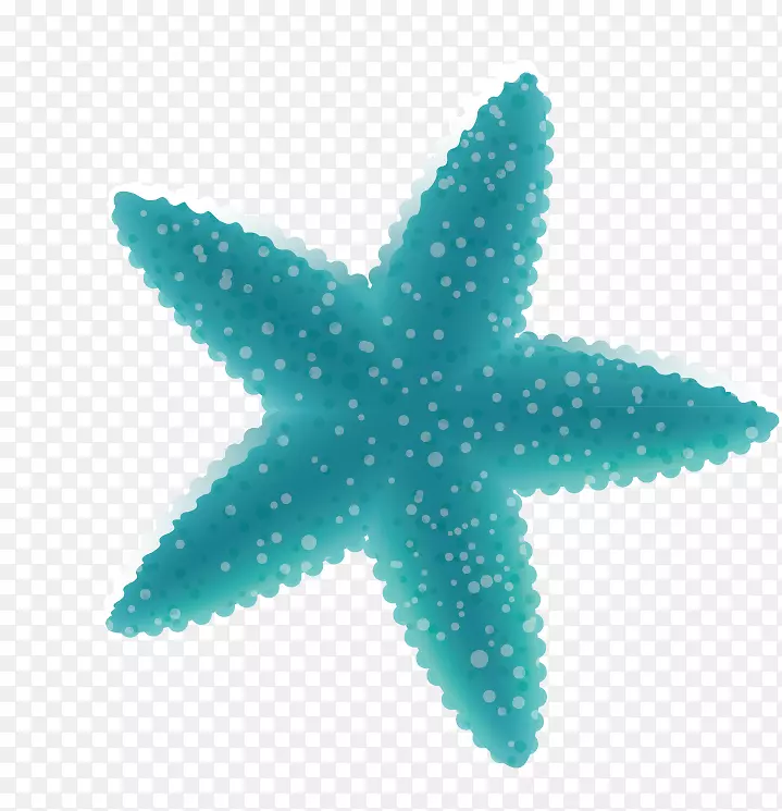 海星图标-脂肪海星