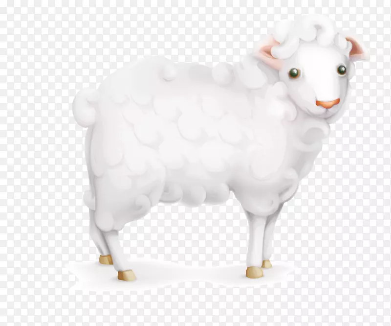 羊-羊