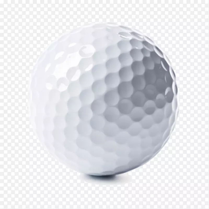 高尔夫球猎犬高尔夫球器材-白色高尔夫球