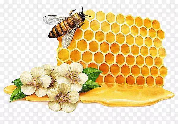 茶多101nuka蜂蜜蜜蜂制造-蜂蜜花创意