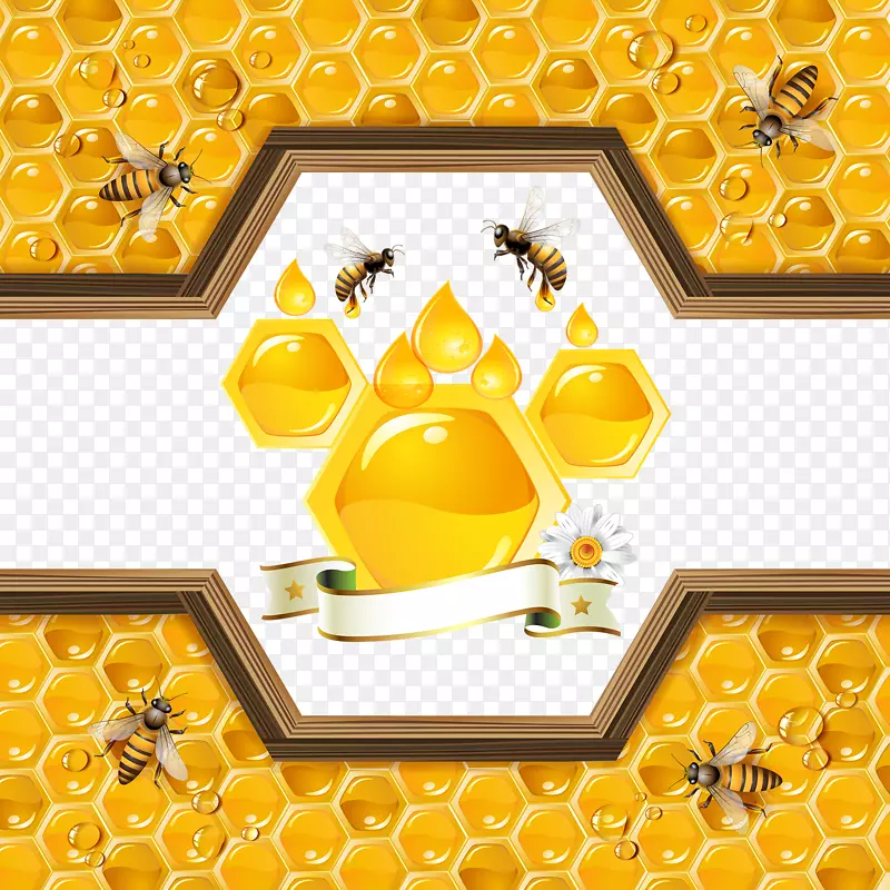蜜蜂蜂巢插图-金色蜂蜜