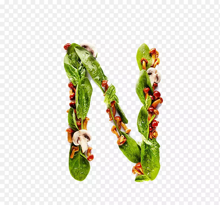 维生素e，硫辛酸，烟酸，鸟酸-蔬菜组成字母n。