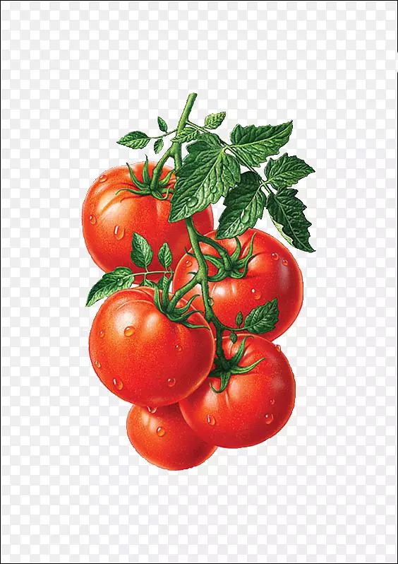 番茄汁樱桃番茄水果插图-番茄