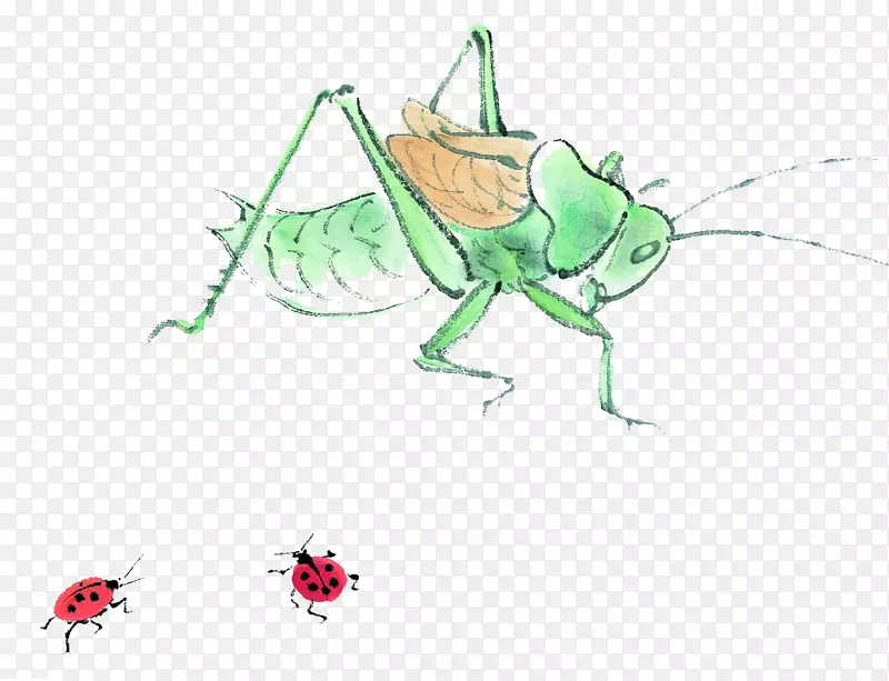 昆虫卡通达摩图标-蚱蜢