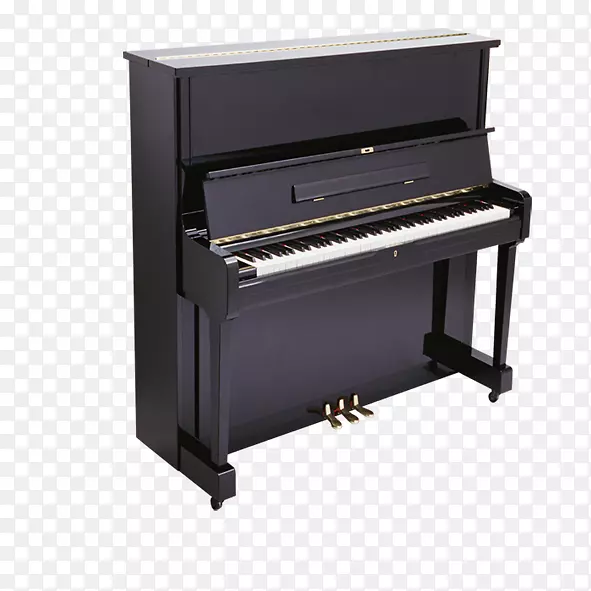 大钢琴定义乐器键盘钢琴