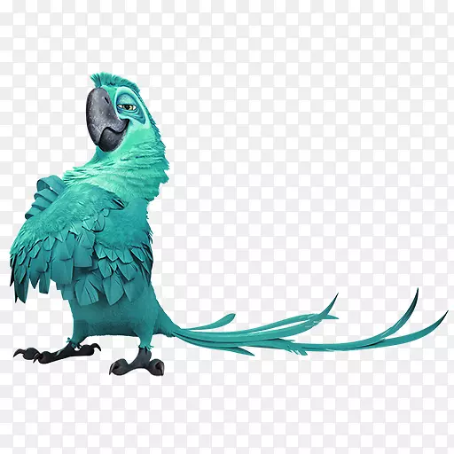 布鲁里奥维基亚图标-绿色家庭鹦鹉装饰图案
