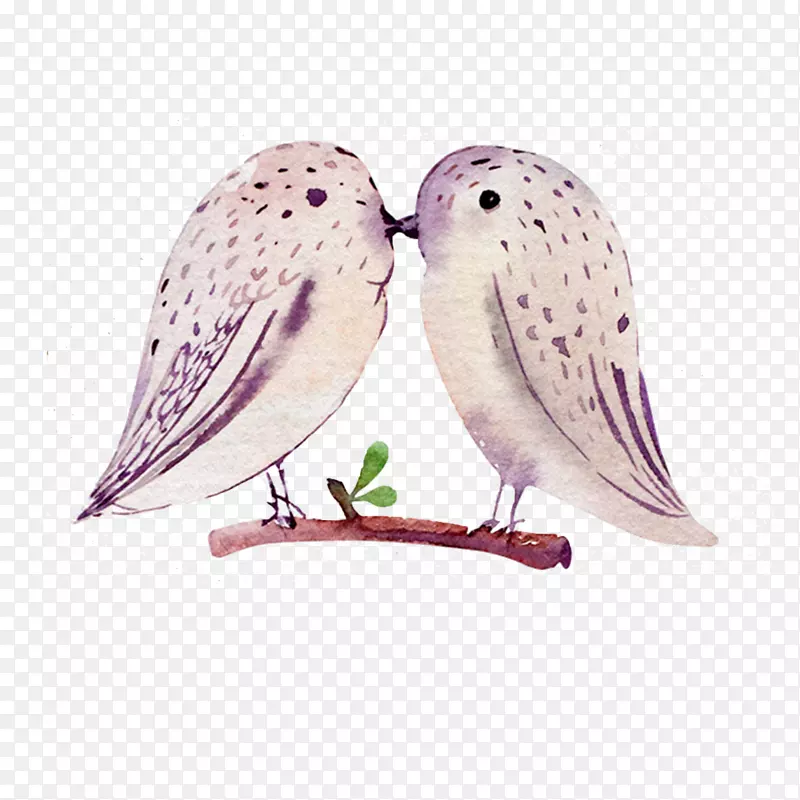 鸟羽水彩画抛枕鸟