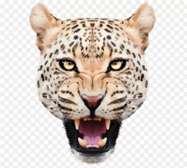 美洲豹猫科虎-愤怒的豹头