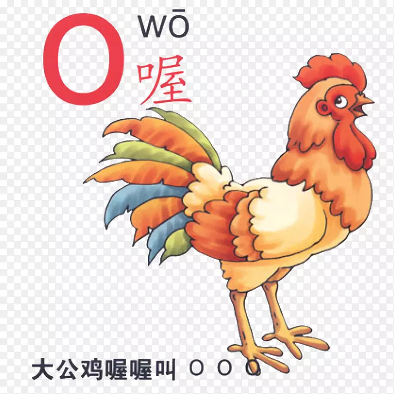 公鸡拼音卡通插图-汉语拼音字母o