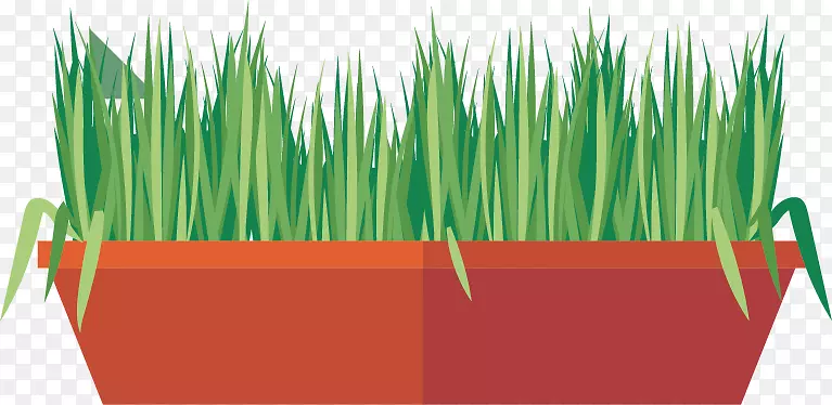 草本植物绿色载体创造绿色草甸草