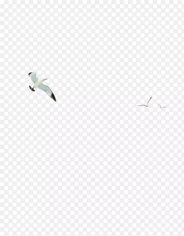 下载adobe插图-天空鸟
