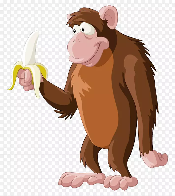 黑猩猩灵长类猴子香蕉-小猴子