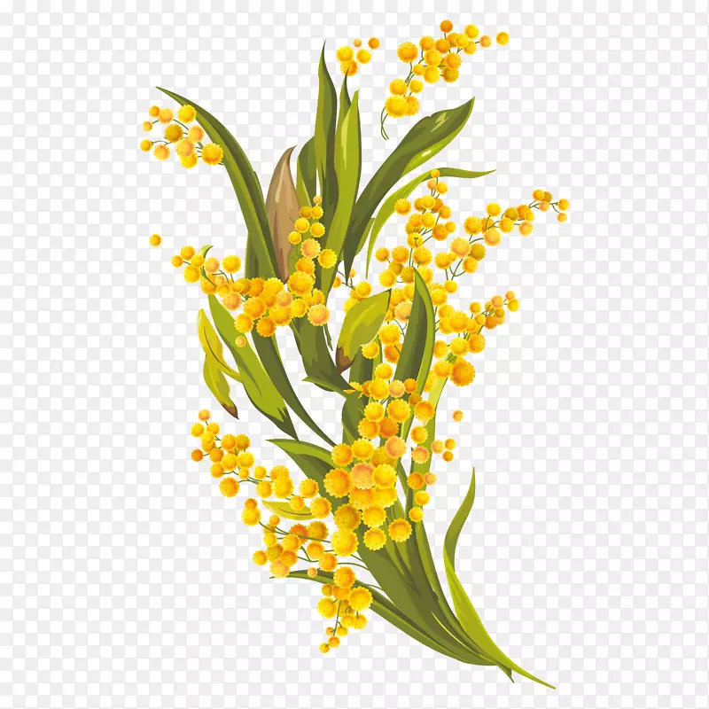 花卉设计普通雏菊-黄色雏菊元素