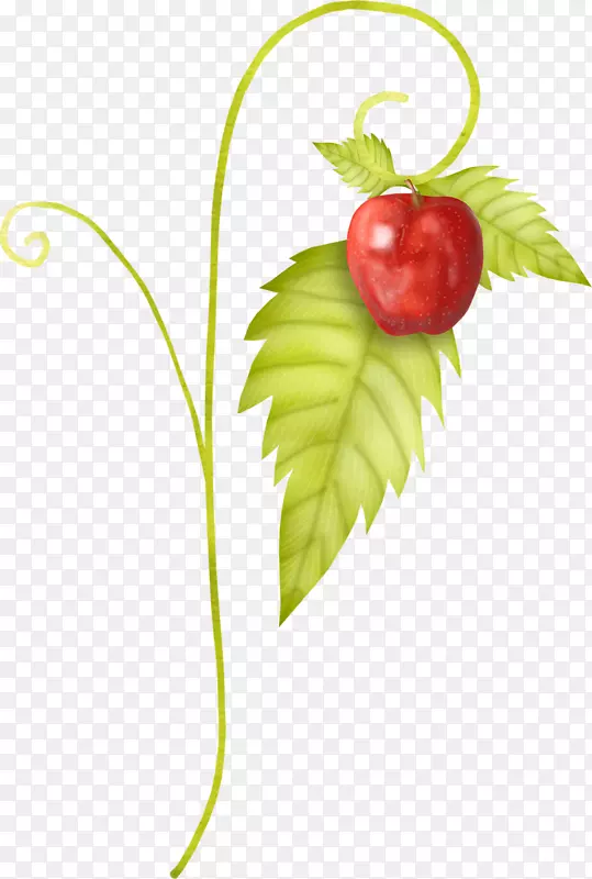 草莓剪贴画-水果苹果PNG图片