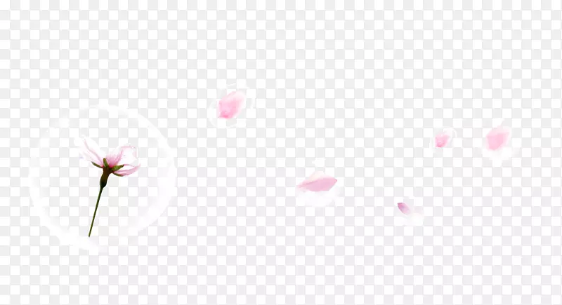 花瓣图案-美丽的花瓣漂浮的泡泡