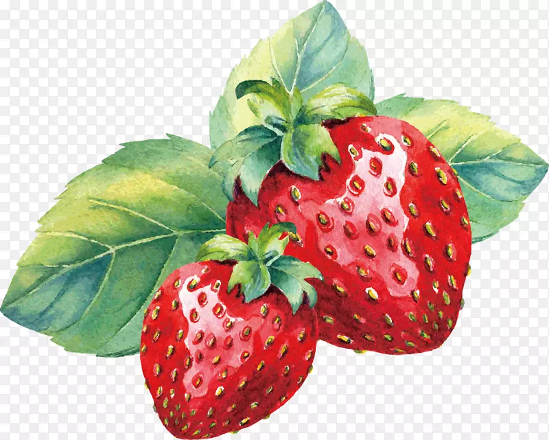 草莓水彩画.草莓彩绘