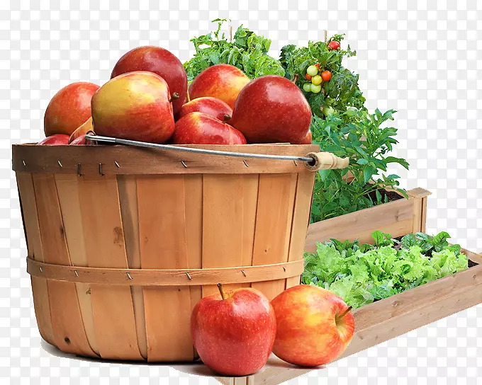家庭仓库的花园篱笆-一桶苹果