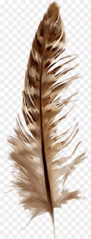 羽毛鹅夹艺术-创造性棕色羽毛