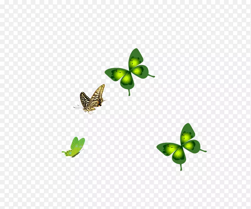 蝴蝶昆虫绿膜图案-蝴蝶