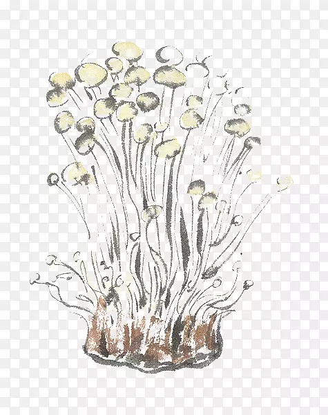 蔬菜蘑菇手绘蘑菇