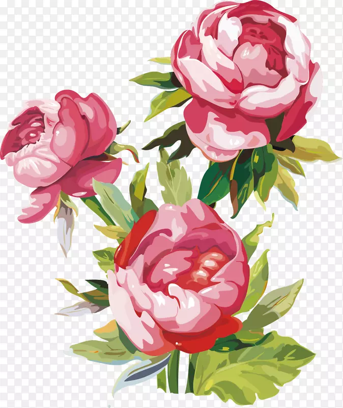 花水粉，油漆，墙壁，贴花-美丽的玫瑰，海素描材料