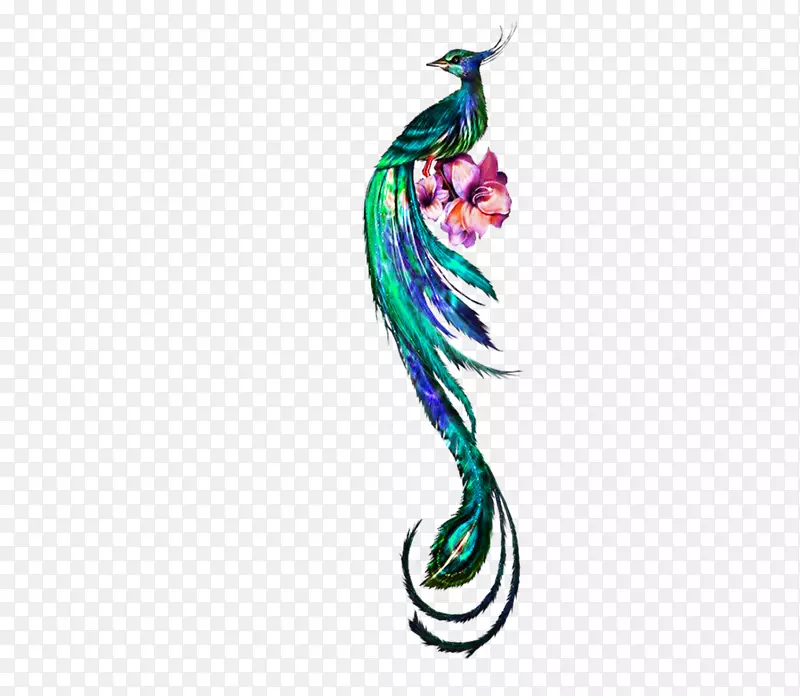 鸟孔雀-绿色简单鸟类装饰图案