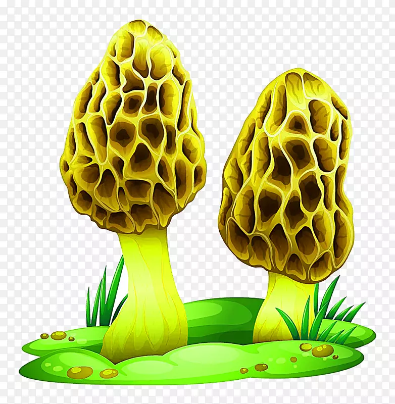蘑菇透明度和半透明木耳插图.草上的卡通蘑菇
