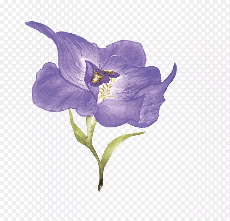 紫花下载-紫花