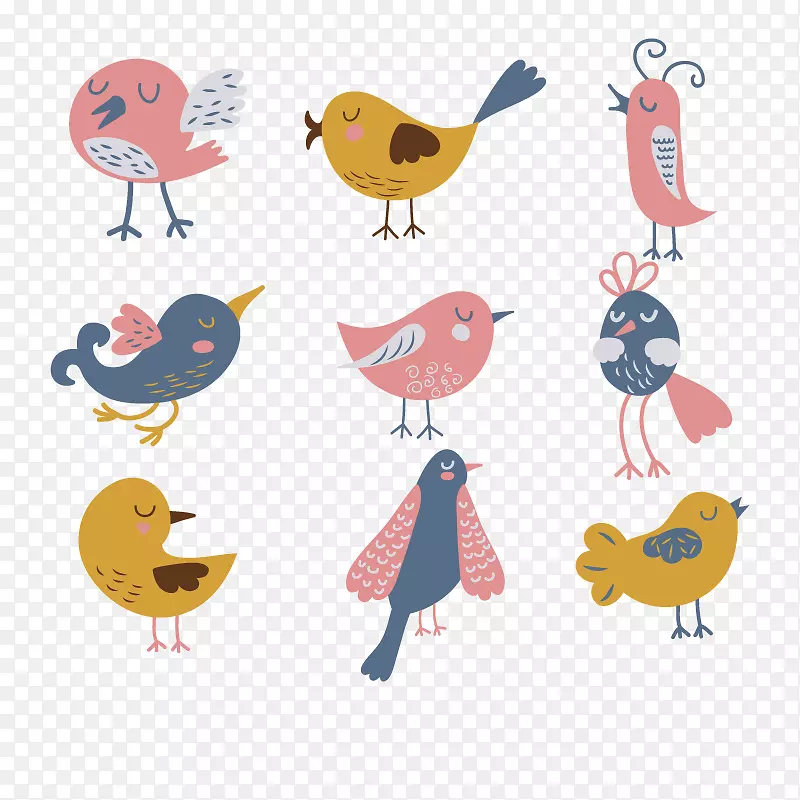 鸟类绘制插图.鸟