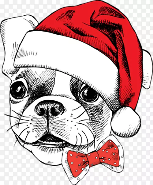 圣诞老人养小狗圣诞-庆祝圣诞犬
