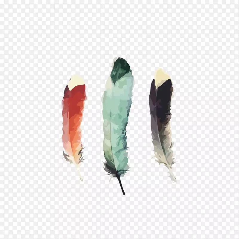水彩技术艾米汉密尔顿设计+插图水彩画羽毛-水彩羽毛，艺术展览