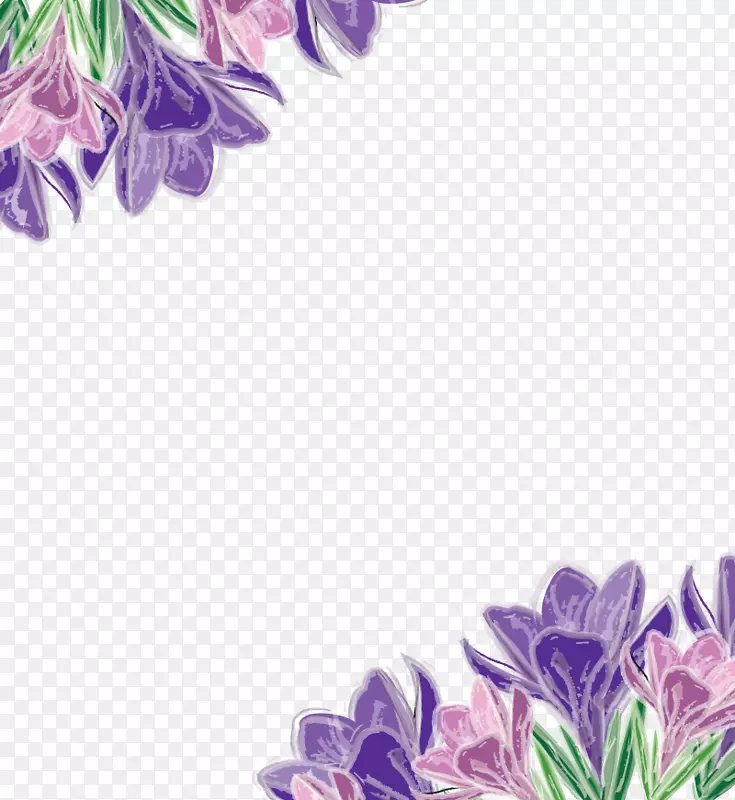 紫花紫罗兰-花卉装饰