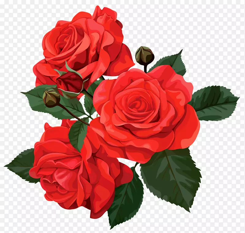 花束玫瑰夹艺术-带刺的红玫瑰