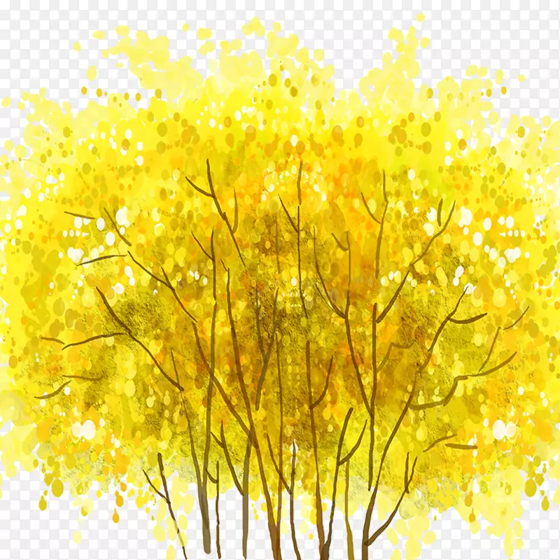 黄绿色-秋季