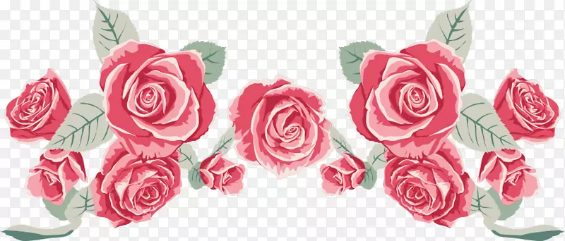 花园玫瑰沙滩玫瑰粉红色玫瑰