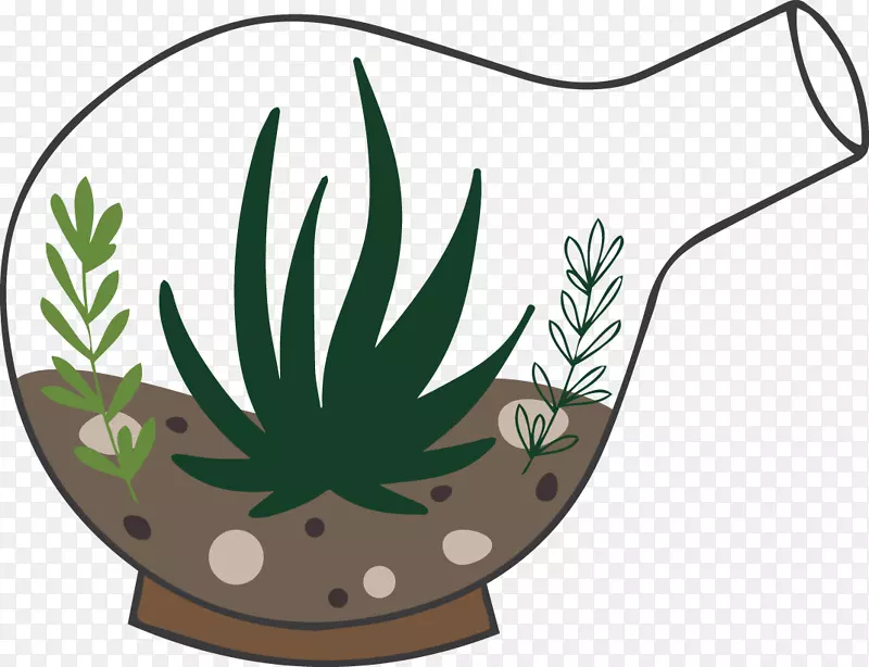 植物玻璃插图.手绘灯泡花盆