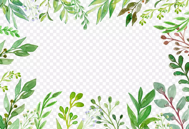 绿色植物-绿色夏季植物手绘边界