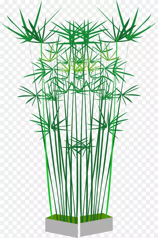 竹子手绘竹