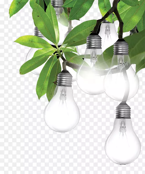 电力工业公用事业-叶上的灯泡