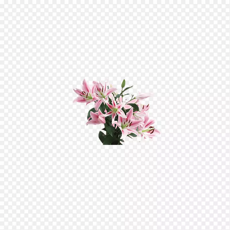 粉红花卉设计-百合花材料