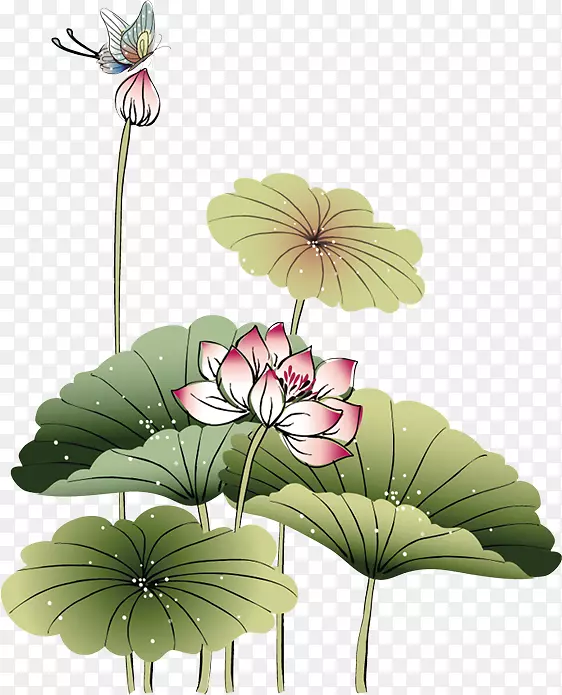 莲花水彩画-莲花
