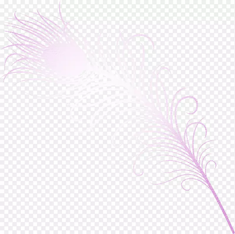 花瓣图案-紫色羽毛材料自由拉