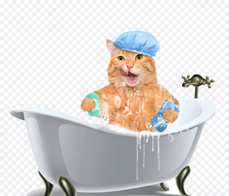 猫狗小猫洗发水浴猫浴缸