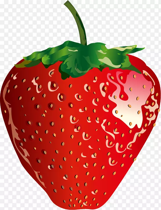 草莓水果食品.载体红草莓