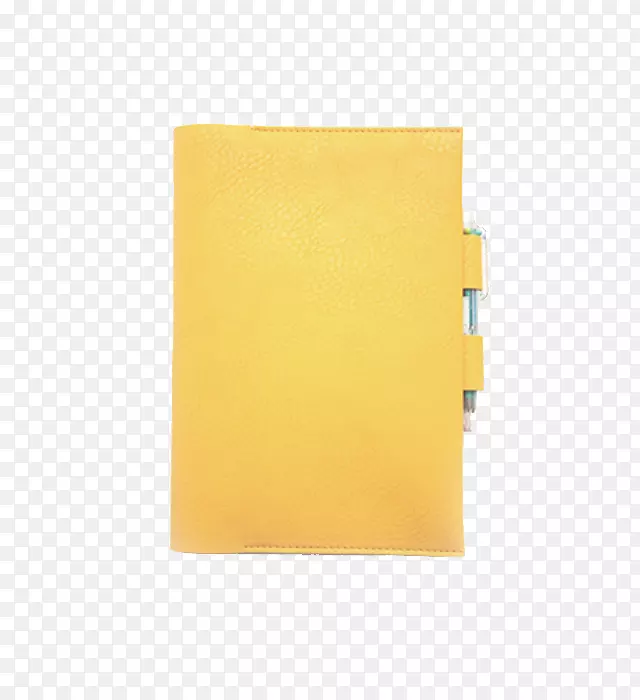 材料黄方公司-芒果彩色笔记本
