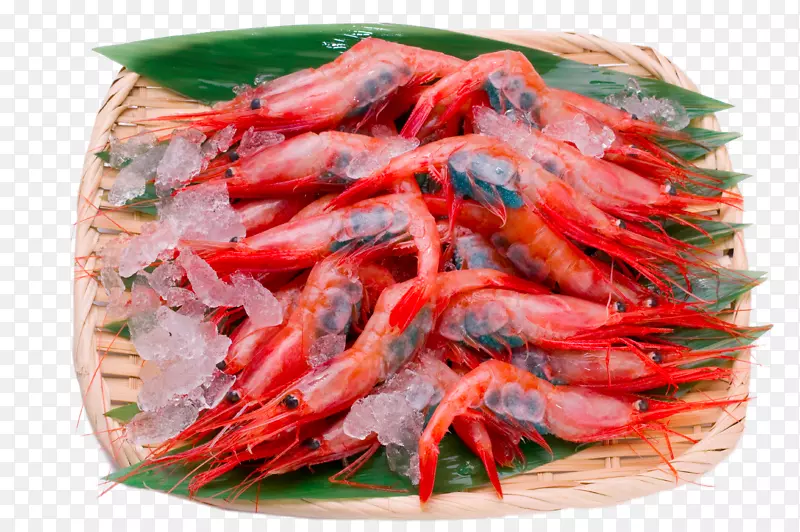 Caridea虾生鱼片食品-筛红虾