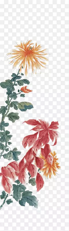水彩画花卉设计水墨画水彩菊花