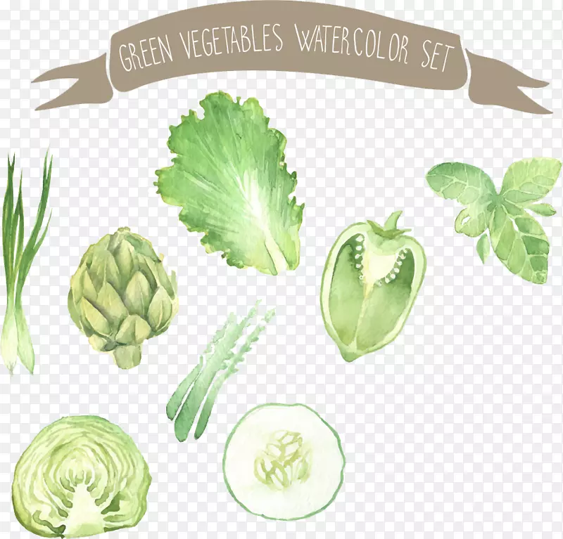 水彩画蔬菜插图水彩画蔬菜