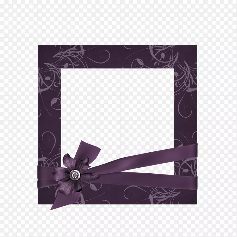 紫下载-紫盒