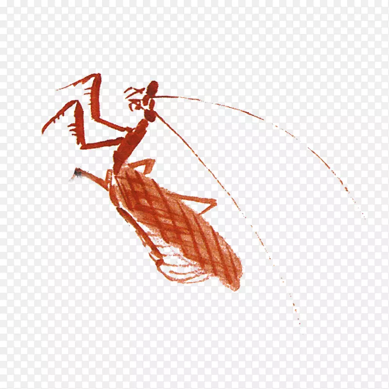 昆虫螳螂--装饰图案，昆虫